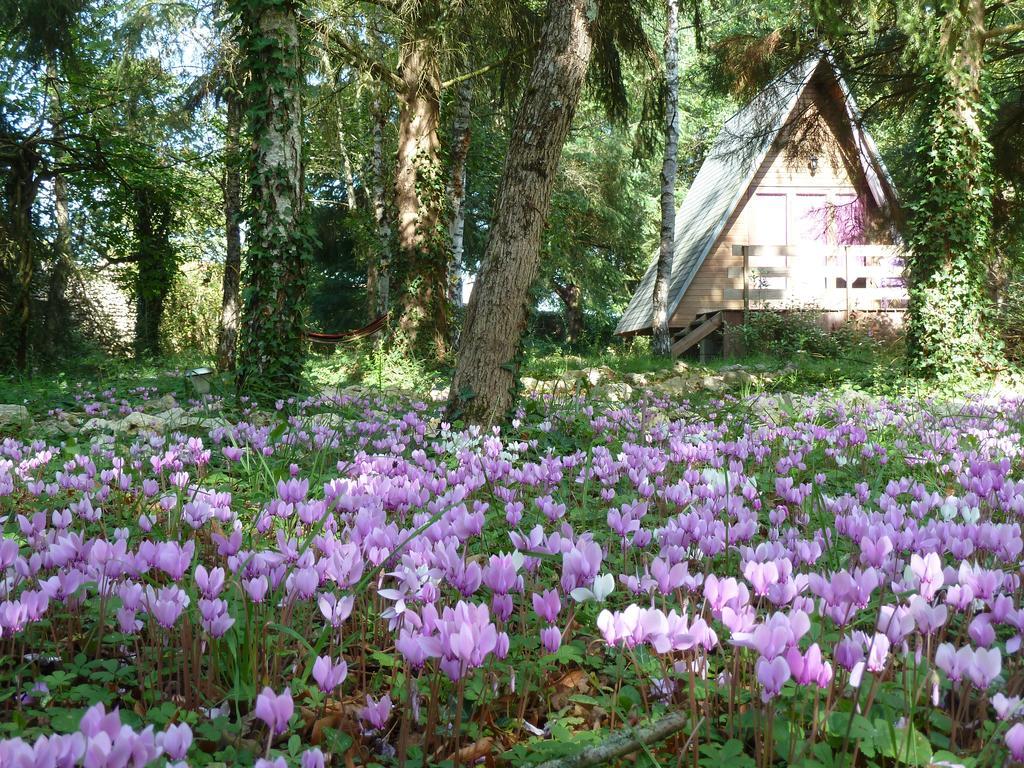 La Rossignolerie - Cabane Aux Oiseaux Chouzy-sur-Cisse Екстериор снимка
