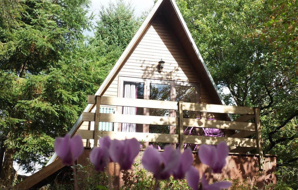La Rossignolerie - Cabane Aux Oiseaux Chouzy-sur-Cisse Екстериор снимка